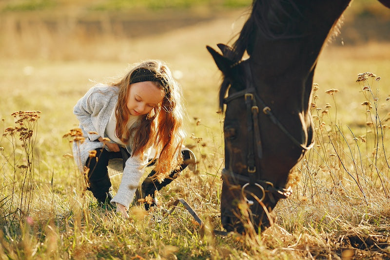 anniversaire cheval