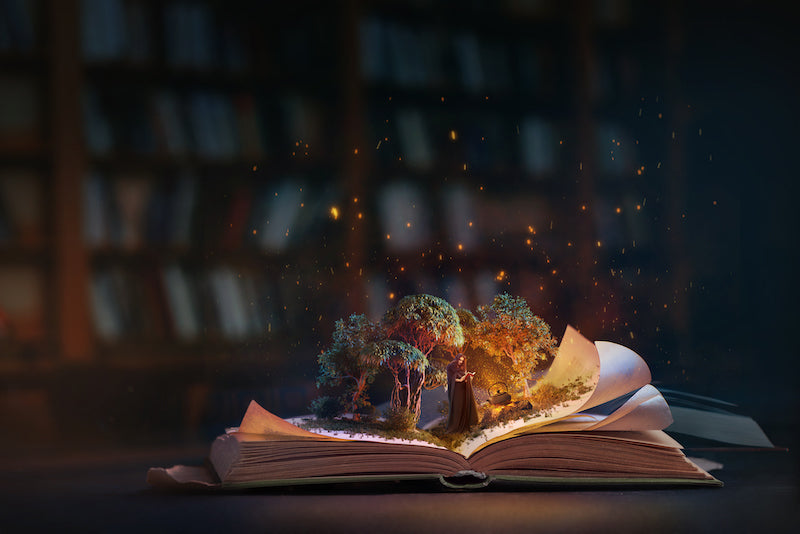 anniversaire harry potter livre