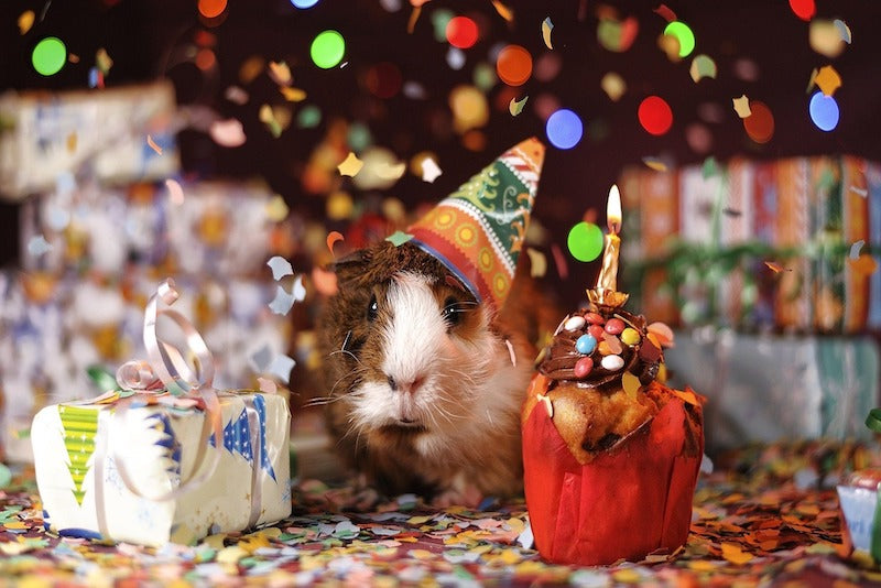 idées de fêtes d'anniversaire originales pour enfants
