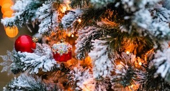 Gobelets Personnalisés Noël